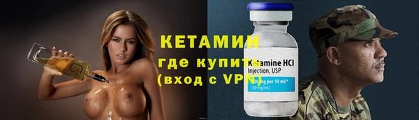 прущие грибы Белая Холуница