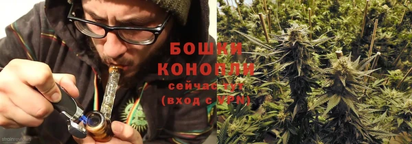стаф Покровск