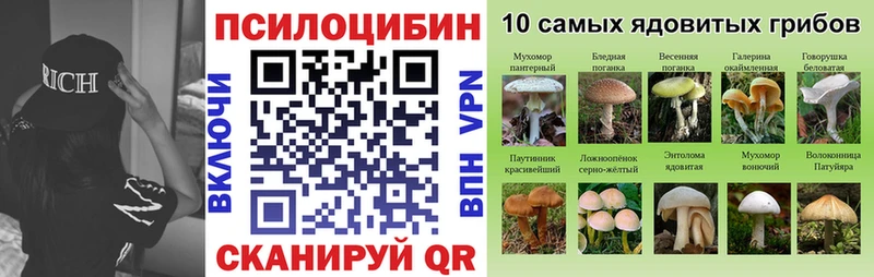 Галлюциногенные грибы Psilocybe  Дивногорск 