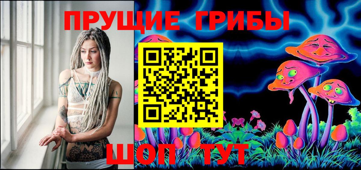 Псилоцибиновые грибы Cubensis Дивногорск
