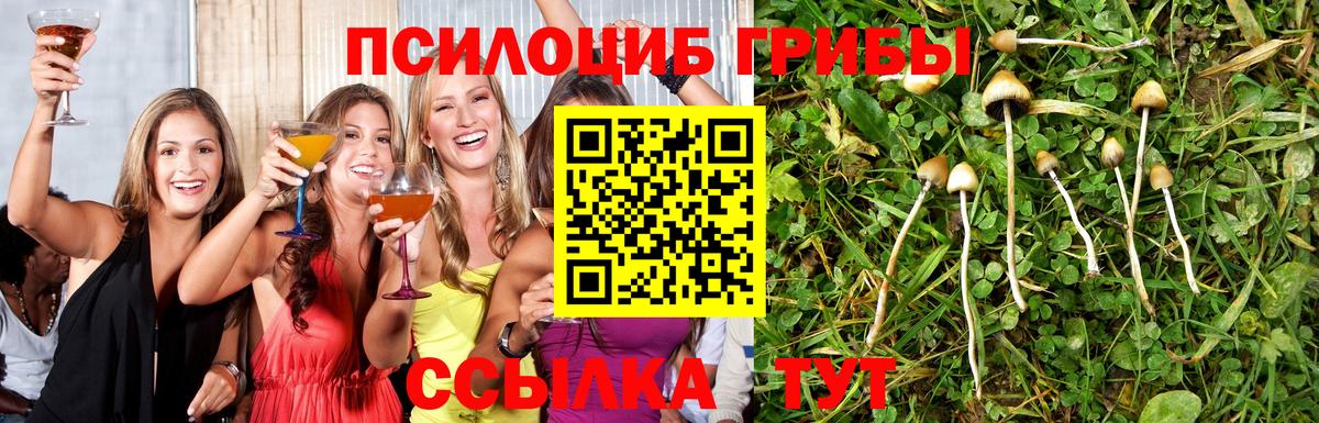Галлюциногенные грибы Psilocybine cubensis  Вход с VPN  наркотики  Дивногорск 